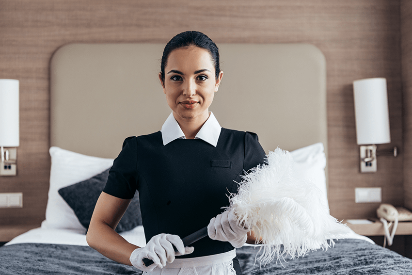 Dust Busters Tales from a Housekeeper’s Arsenal