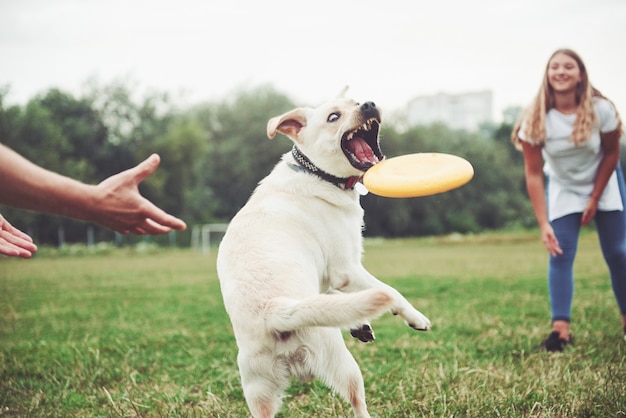 The Science of Dog Training: Understanding Canine Behavior