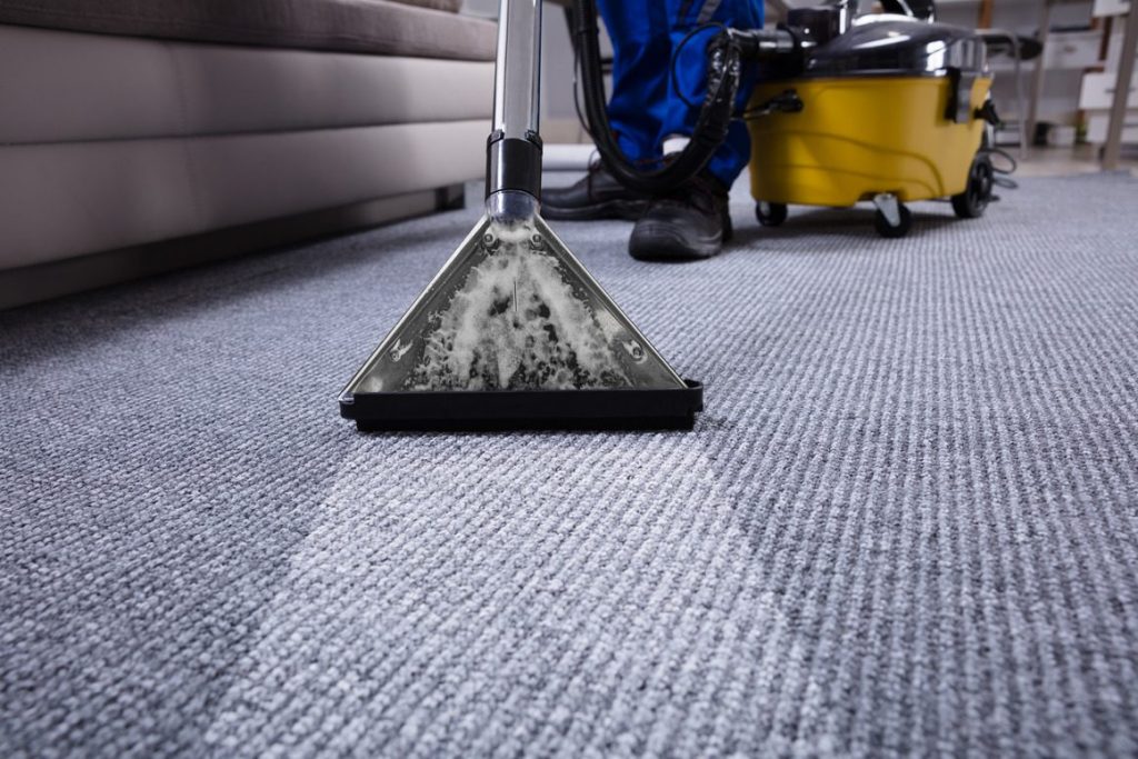 Carpet Care Mastery Transforming Your Home with Professional Cleaning