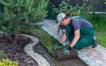 Revitalize Your Oasis Top-Rated Local Landscaping Services