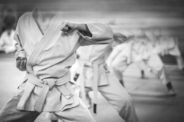 Discover the Benefits of Martial Arts Training at the US Kuo Shu Academy