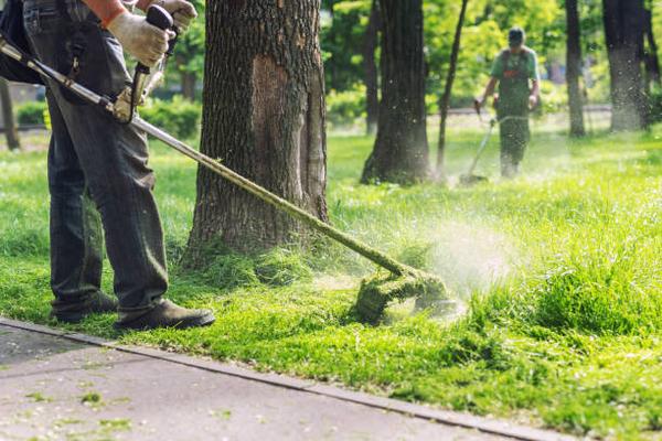 Fayetteville Landscaping Service: Beautifying One Lawn at a Time